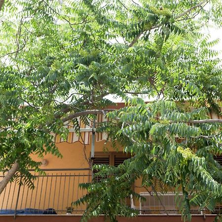 Casa Di Clara Διαμέρισμα Acireale Εξωτερικό φωτογραφία
