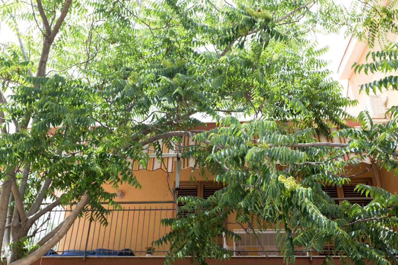 Casa Di Clara Διαμέρισμα Acireale Εξωτερικό φωτογραφία